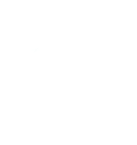 Logo Taiff